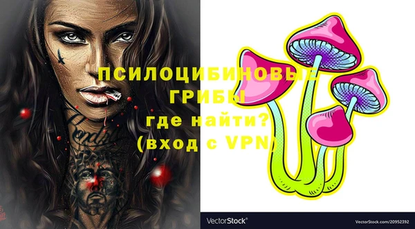 дживик Верхний Тагил